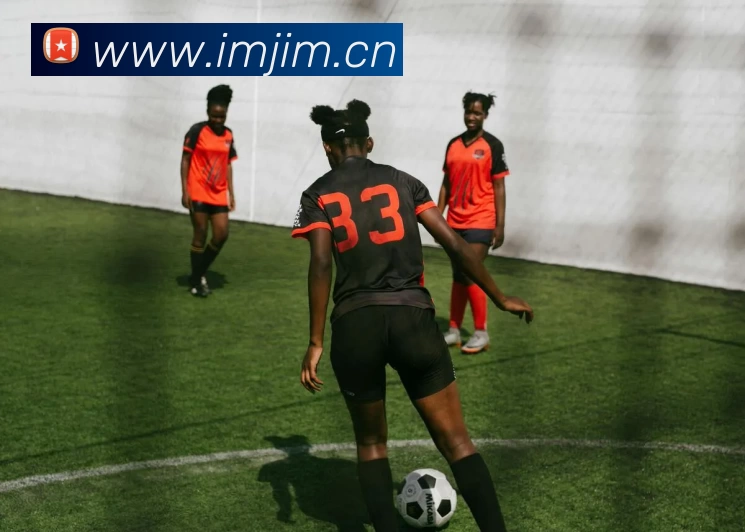 九游j9官网入口发展历程